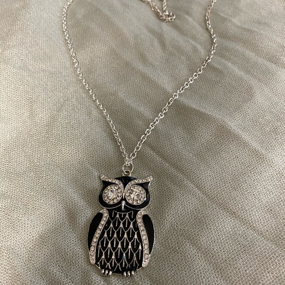 Stunning Long Black Owl Pendant Necklace - Picture 2 of 3